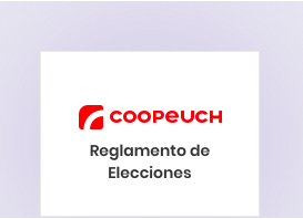 reglamento de elecciones